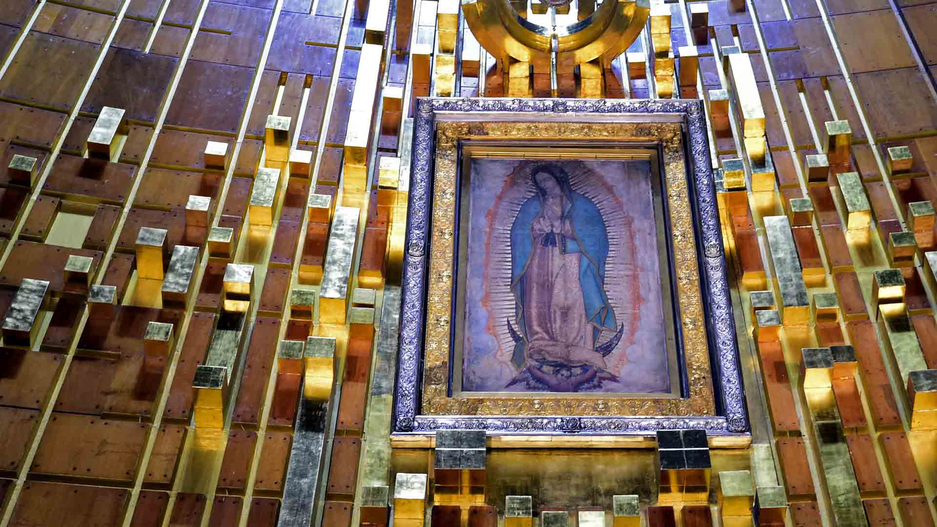 Guadalupe 6